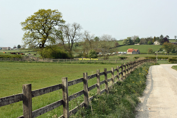 Photo 6"x4" Fence by a bridleway near Golden Hill Marton\/SE7383 c2011