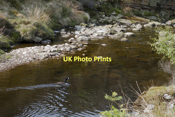Photo 6"x4" The River Roeburn under Mallowdale Pike Mallowdale Pike c2011
