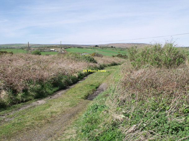 Photo 6"x4" Track near Balnoon, Cornwall Balnoon\/SW5038 c2011