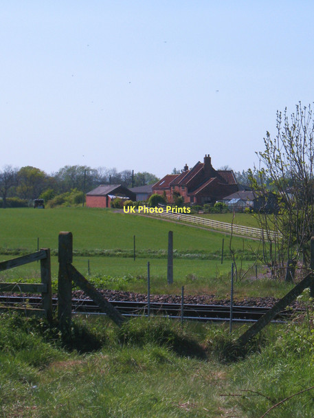Photo 6"x4" Across the tracks to Stobthorn Farm Brompton\/SE3796 c2011