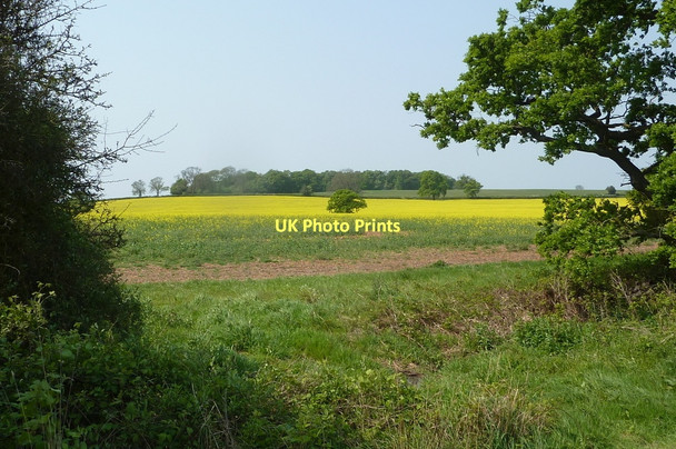 Photo 6"x4" Fields towards Hill Plantation Church End\/SP2490 c2011