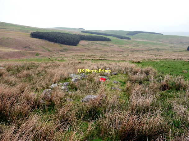 Photo 6"x4" Remains of building at medieval farmstead near Tod Stones Alnham c2011