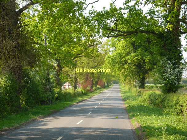 Photo 6"x4" Castle Lane towards Shustoke Duke End c2011