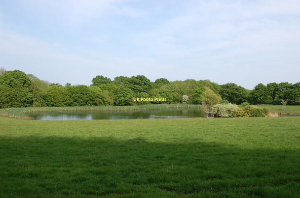 Photo 6"x4" Pond near Crowhurst Farm Mountfield\/TQ7320 c2011