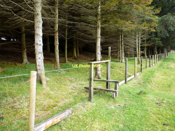 Photo 6"x4" Stile on north side of Hazeltonrig Burn plantation Alnham c2011