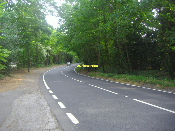 Photo 6"x4" Mytchett Place Road Farnborough\/SU8754 c2011