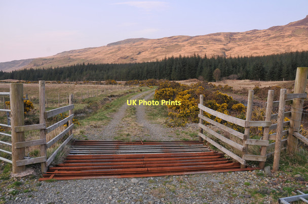Photo 6"x4" Farm track in Glen Forsa Leathad Fe\u00e0rna c2011