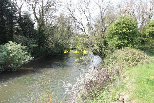 Photo 6"x4" Another fork Aldermaston Wharf c2011