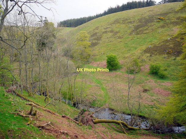 Photo 6"x4" Spartley Burn above Hazeltonrig Alnham c2011