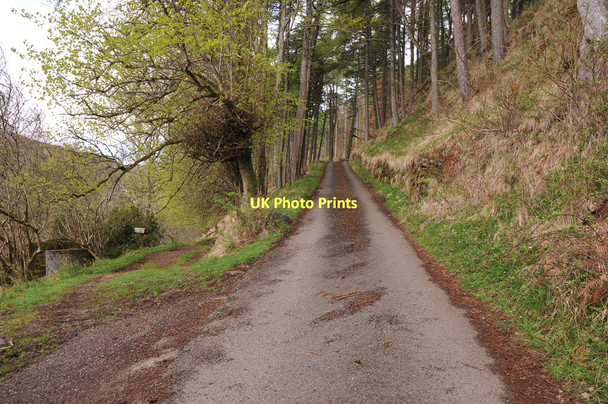 Photo 6"x4" Minor road at Carsaig Carsaig\/NM5421 c2011