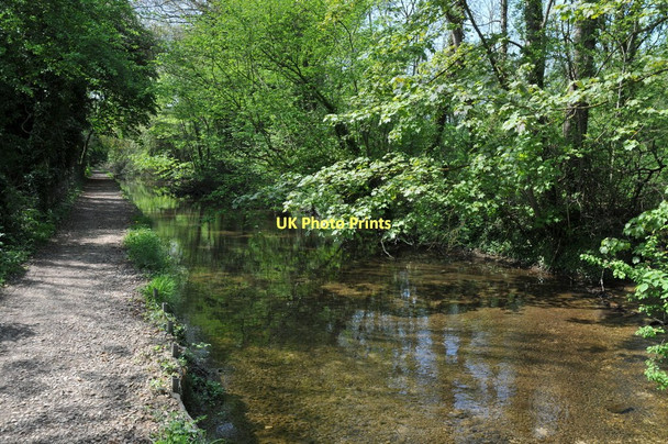 Photo 6"x4" River Thames near Ashton Keynes Ashton Keynes c2011