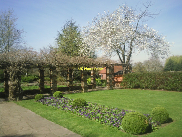 Photo 6"x4" Pergola at Well Hall Pleasaunce Eltham c2011