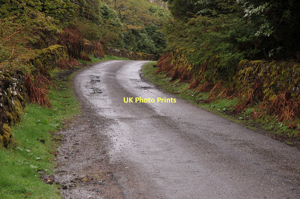 Photo 6"x4" Road from Glengorm to Tobermory Port Chill Bhraonain c2011