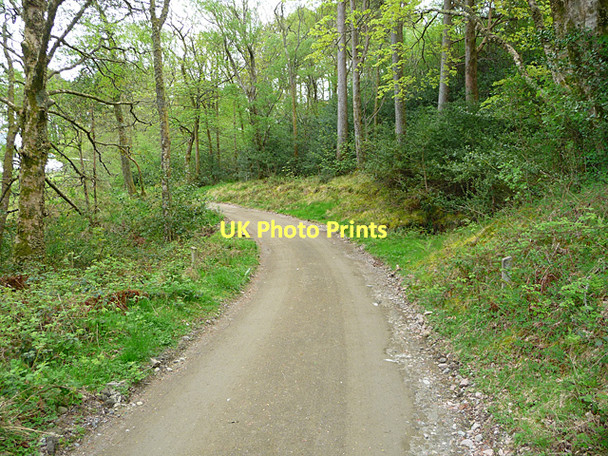 Photo 6"x4" Track at Kinloch Kinloch\/NM4099 c2011