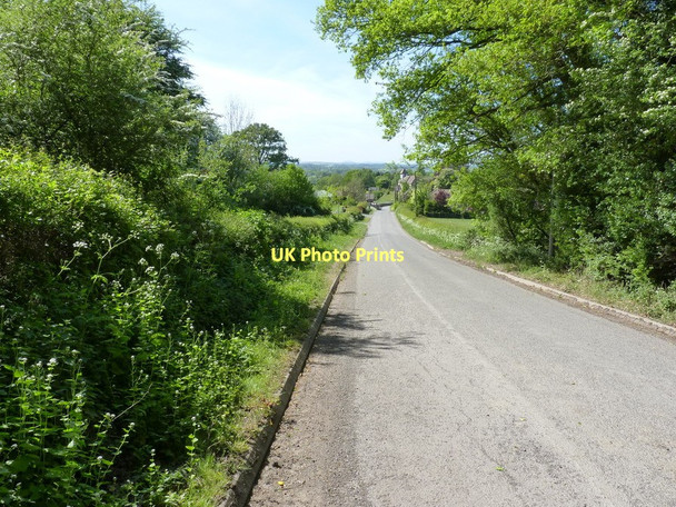 Photo 6"x4" Down the lane into Sheinton Sheinton c2011