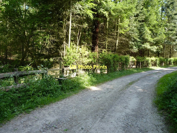 Photo 6"x4" Farm track and footpath in Rabbit Warren Plantation Harley\/SJ5901 c2011