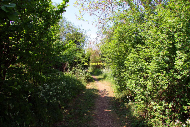 Photo 6"x4" Restricted byway to Chiselhampton Drayton St Leonard c2011