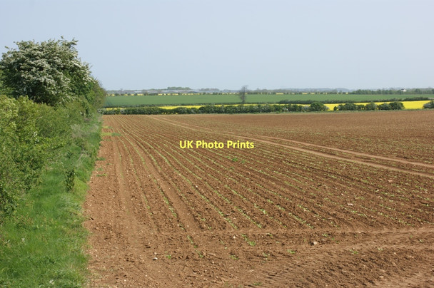 Photo 6"x4" Farmland at Welby Pastures Welby c2011