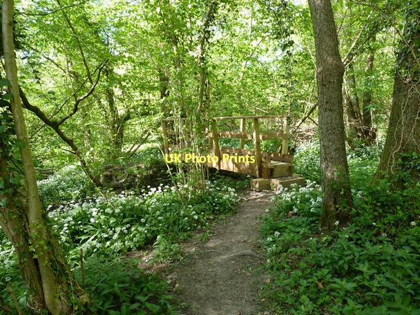Photo 6"x4" New footbridge over the brook in Whitwell Coppice Homer\/SJ6101 c2011