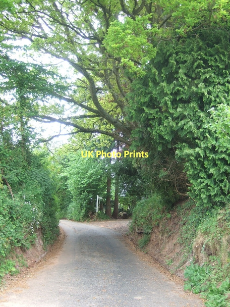Photo 6"x4" Lane to Blackdown from Colaton Raleigh Colaton Raleigh c2011