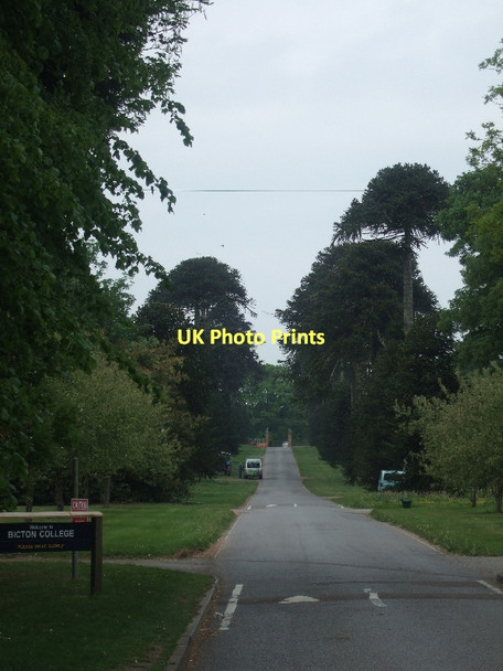 Photo 6"x4" The drive to Bicton College North Star c2011
