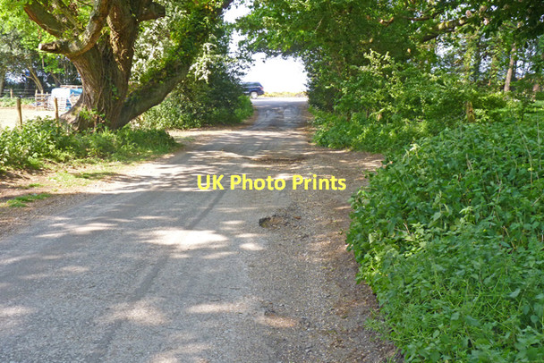Photo 6"x4" Lane to Setley Farm Setley c2011