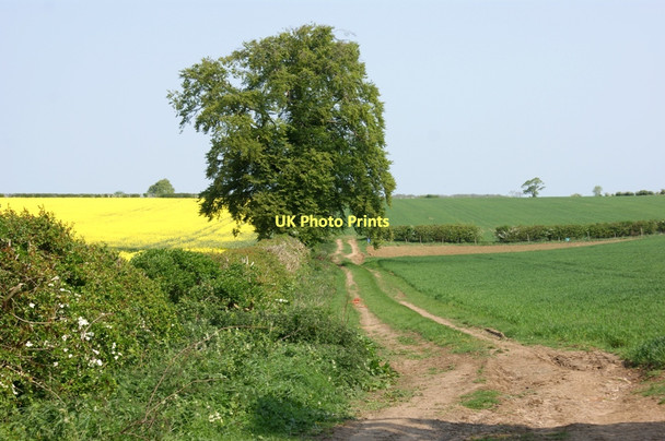 Photo 6"x4" Farmland near Welby Welby c2011