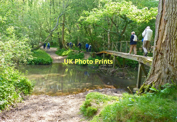 Photo 6"x4" Ford & Footbridge in Roydon Woods Sandy Down c2011