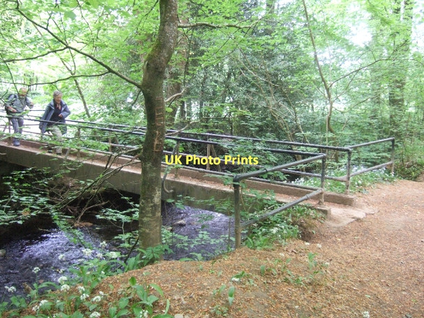 Photo 6"x4" Footbridge over River Lemon near Bradley Manor Newton Abbot c2011