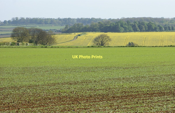 Photo 6"x4" Arable fields, Slate House Farm, Wilsford Ancaster c2011
