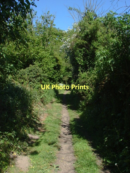 Photo 6"x4" Sandy Lane, Woodstreet Willey Green c2011