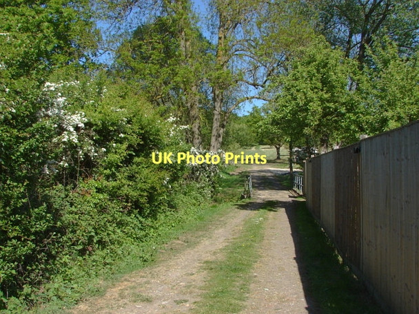 Photo 6"x4" Footpath, Woodstreet Willey Green c2011