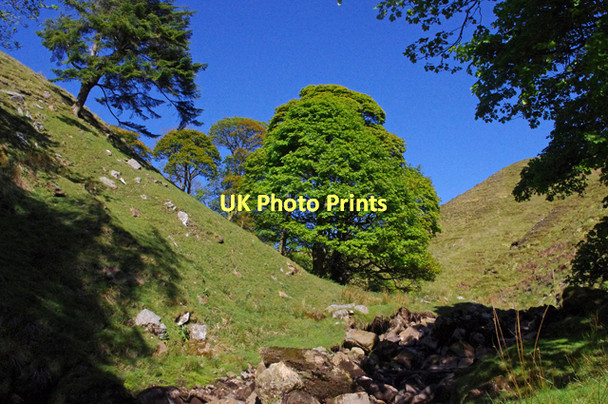Photo 6"x4" Needlehouse Gill Fell End\/SD7298 c2011