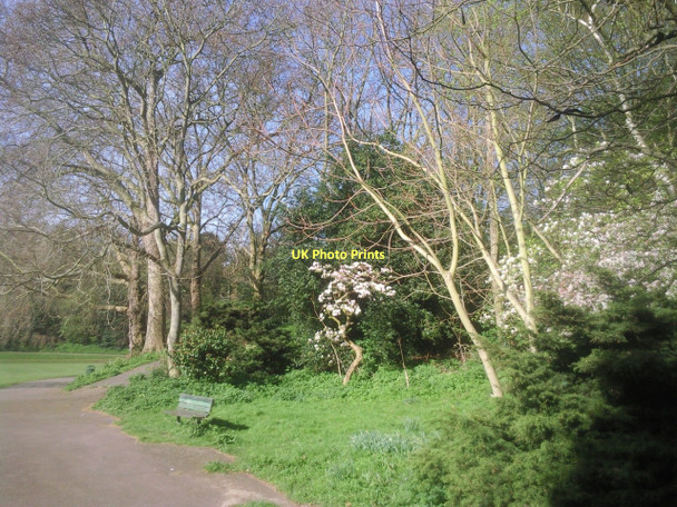 Photo 6"x4" Spring in Maryon Park Woolwich c2011