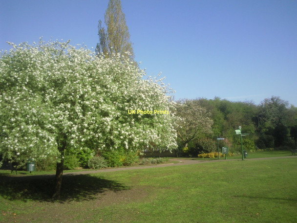 Photo 6"x4" Maryon Park in springtime Greenwich\/TQ3977 c2011