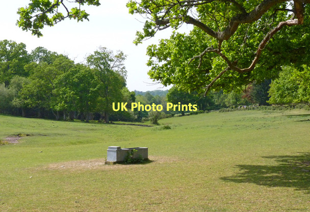 Photo 6"x4" View near Boldre Church Boldre c2011