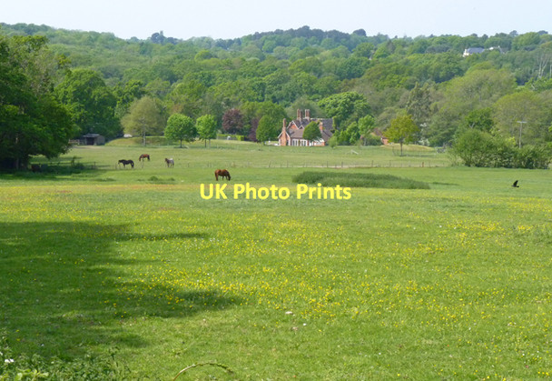 Photo 6"x4" View from Boldre Church Boldre c2011