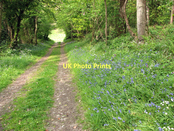 Photo 6"x4" Track descending to the Glaven valley Holt\/TG0838 c2011