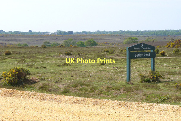Photo 6"x4" Entrance to Setley Pond Battramsley c2011