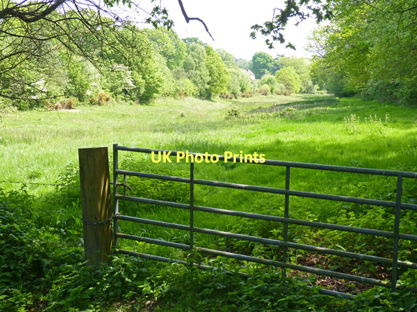 Photo 6"x4" Pleasant View Battramsley c2011