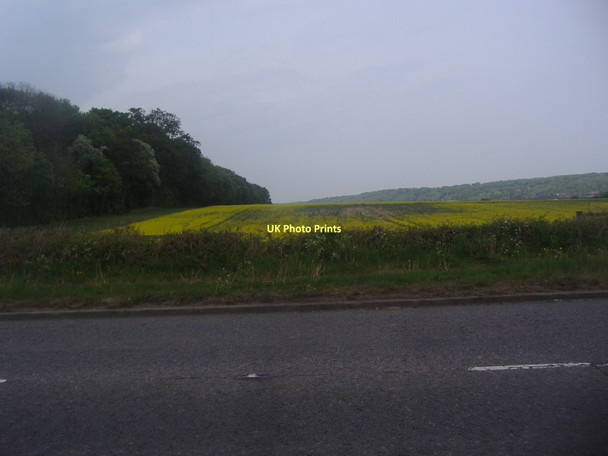 Photo 6"x4" Countryside by A4251 at Wigginton Tring c2011