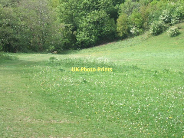 Photo 6"x4" Path crossing field and leading to Broadridge Wood Newton Abbot c2011