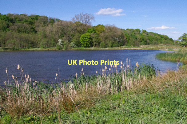 Photo 6"x4" Brockholes Nature Reserve Grange\/SD5731 c2011