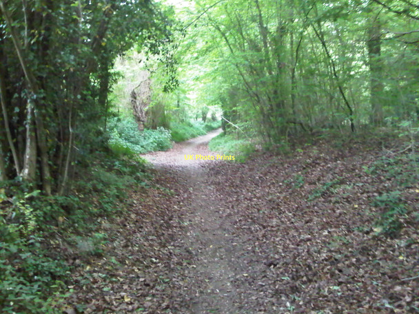 Photo 6"x4" Tunworth to Weston Corbett Bridleway Tunworth c2011