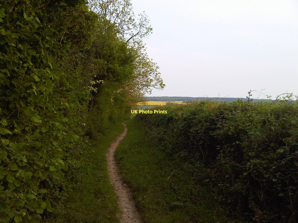 Photo 6"x4" Tunworth to Weston Corbett Bridleway Weston Corbett c2011