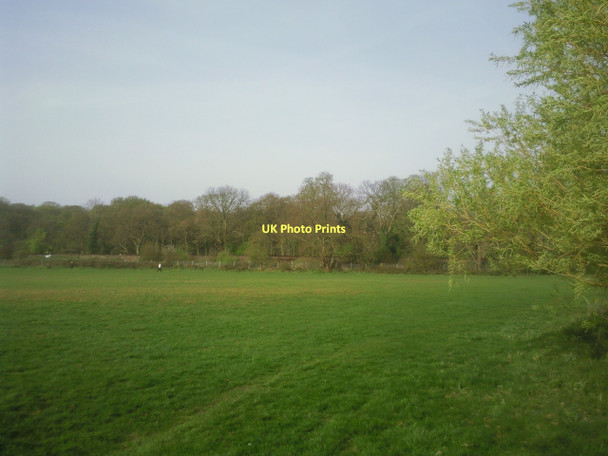 Photo 6"x4" In Beckenham Place Park Beckenham c2011