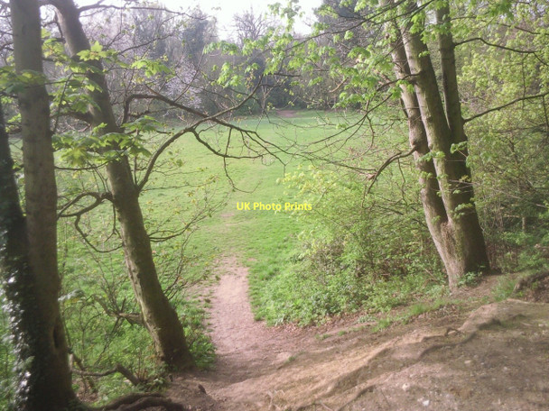 Photo 6"x4" In Beckenham Place Park Catford\/TQ3873 c2011