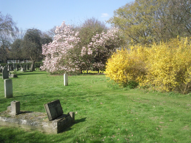 Photo 6"x4" Fulham Cemetery in the spring Barnes c2011