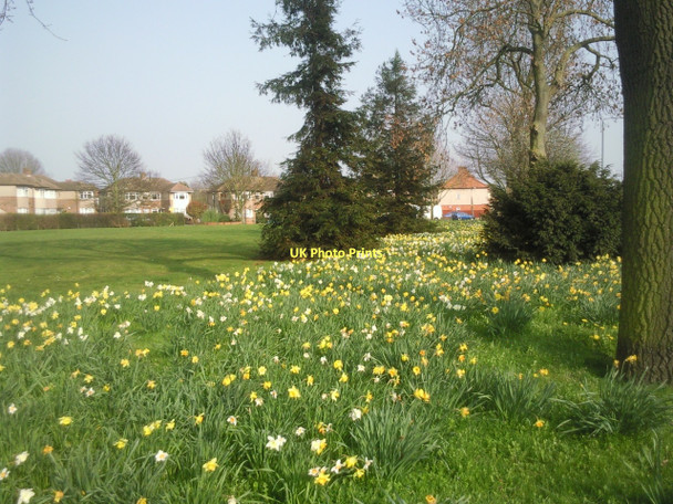 Photo 6"x4" Shoulder of Mutton Green in springtime Bexley c2011