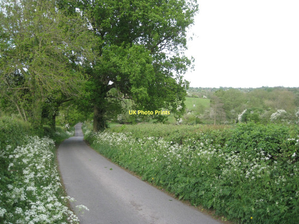 Photo 6"x4" Rookery Lane above the Tapster valley Preston Fields c2011